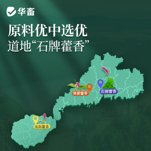 华畜藿香正气液兽用降温解暑口服液猪牛羊抗应激鸡鸭鹅中暑解清热 - 图1