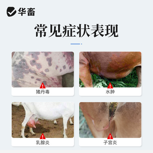 华畜兽药青霉素兽用400万单位注射用青霉素钠猪用牛羊药消炎正品 - 图2