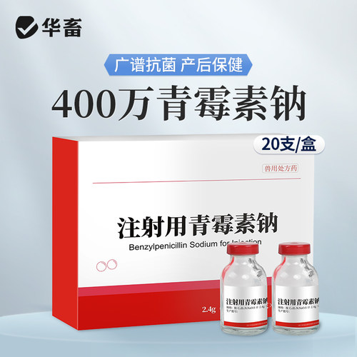 华畜兽药青霉素兽用400万单位注射用青霉素钠猪用牛羊药消炎正品 - 图1