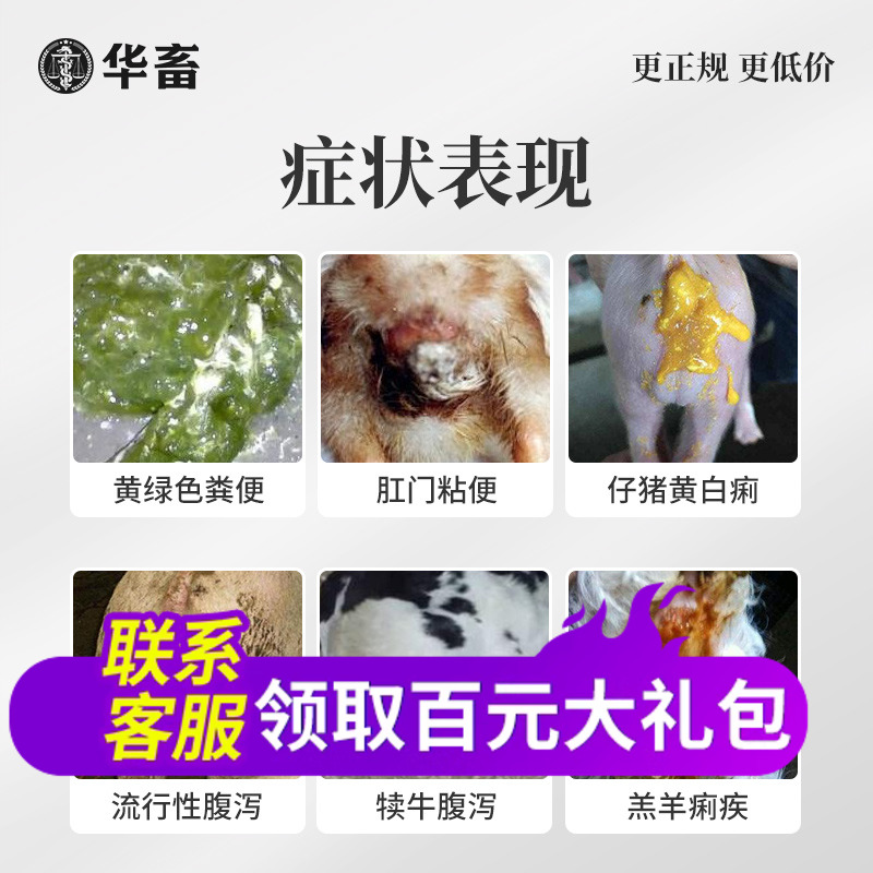 华畜兽药白头翁散兽用正品肠炎小猪拉稀鸡药扶正麻杏石甘散脱霉剂-图0