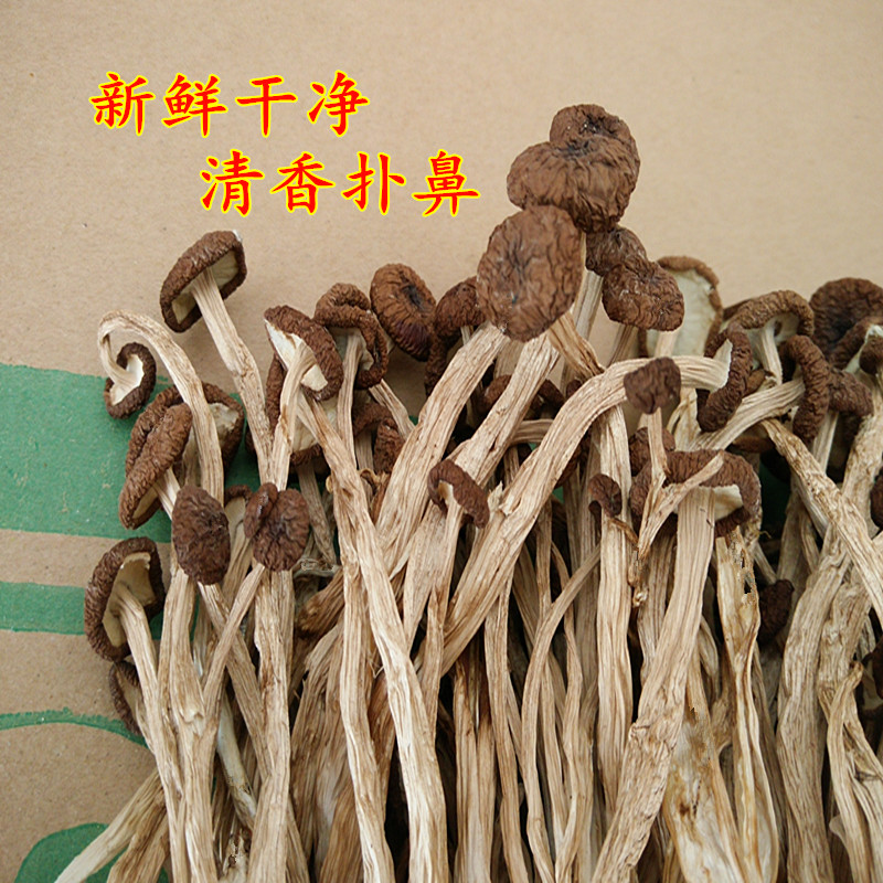 广昌剪根茶树菇新货不开伞500g 新鲜剪脚干茶树菇干货一斤不开膜 - 图1