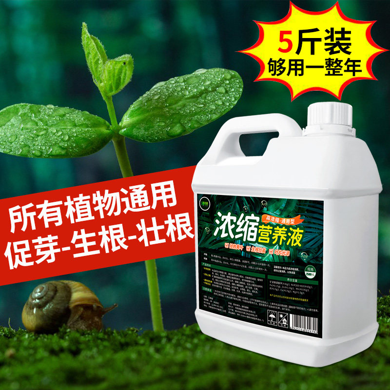 植物营养液浓缩通用型绿植花卉花肥家用盆栽营养园艺肥料绿萝叶%,淘宝优惠券,粉丝福利购,淘宝优惠卷