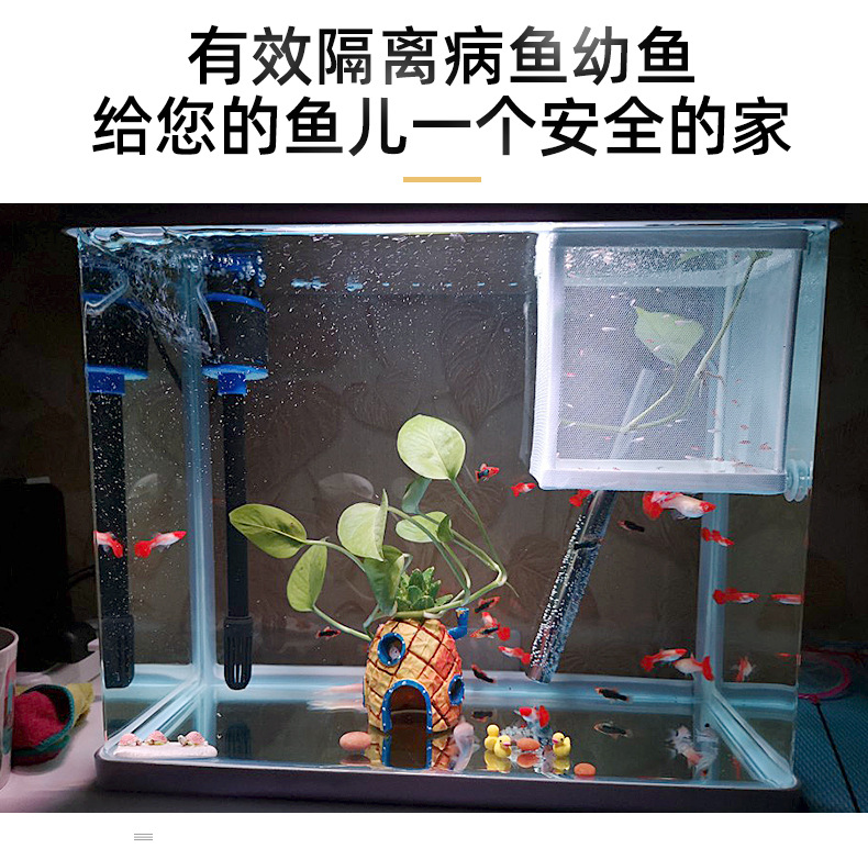 鱼缸水族箱孵化器幼鱼病鱼受伤鱼隔离网孵化繁殖箱小鱼繁殖网产盒-图0