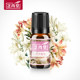Aromatherapy essential oil humidifier home air purification purification