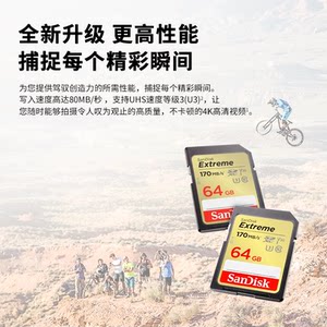 闪迪sd卡128g内存卡高速64g 佳能尼康索尼松下相机存储卡大卡256g