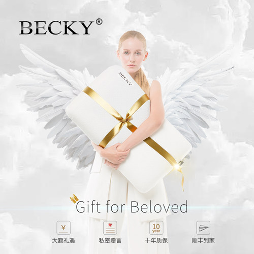 BECKY枕头护颈椎助睡眠颈椎枕护颈枕成人慢回弹记忆棉侧睡家用 - 图1
