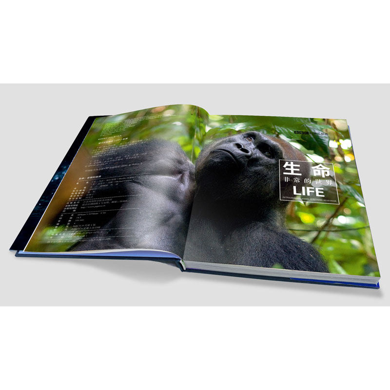  阳光书艺图书科普百科