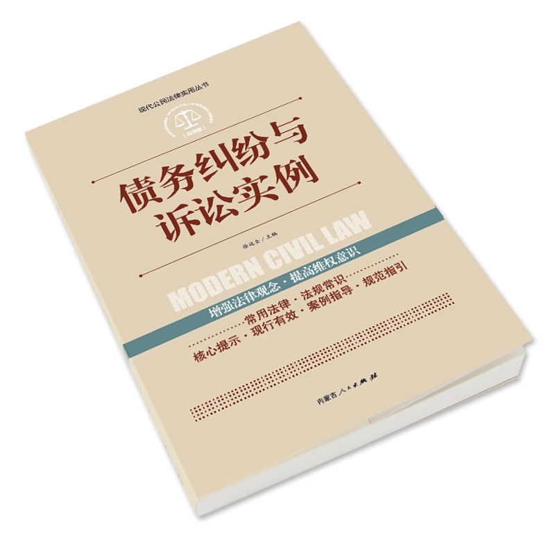 全案例讲解】债务纠纷与诉讼实例新司法解释老赖欠钱不还债务经济纠纷法律工具书同步2023年案例学法用法推荐常用法律法规大全书籍 - 图0