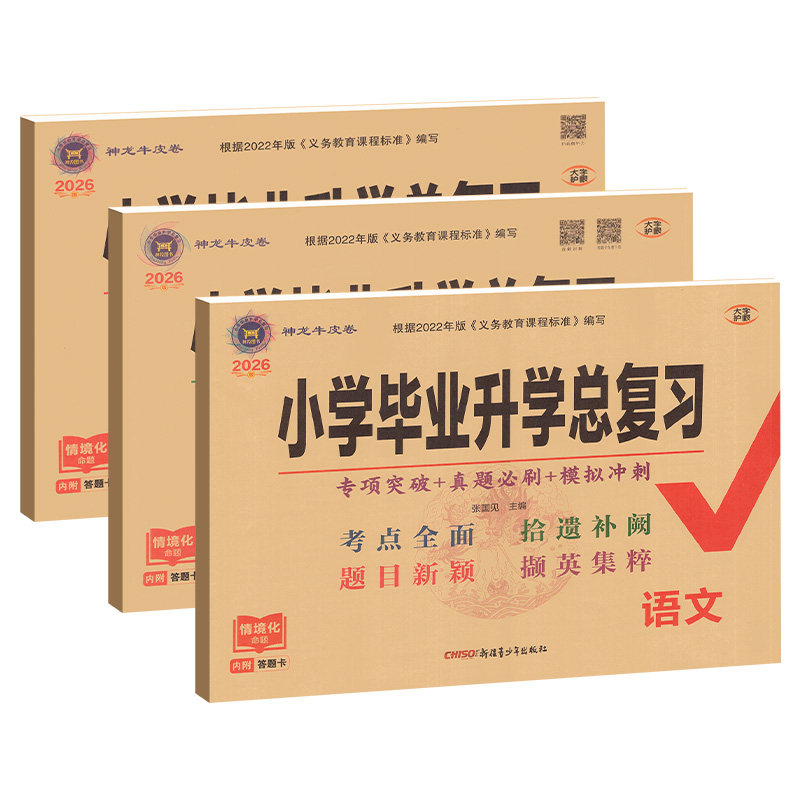 2026小升初真卷海淀ab卷小升初毕业总复习语文数学英语专项复习真题演练模拟冲刺六年级下册期末冲刺人教外研版小学升初中资料卷子