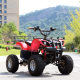 ATV Drift High Power Terrain Bull