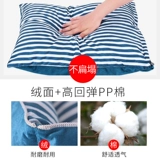 Зима в гнезде собаки держит теплую гнездо собаку, маленькая собака, плюша