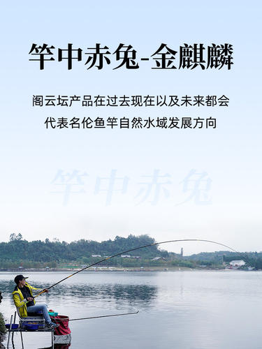 名伦金麒麟鱼竿超轻旗舰正品碳素28调1H台钓竿手竿轻硬野钓钓鱼竿 - 图2