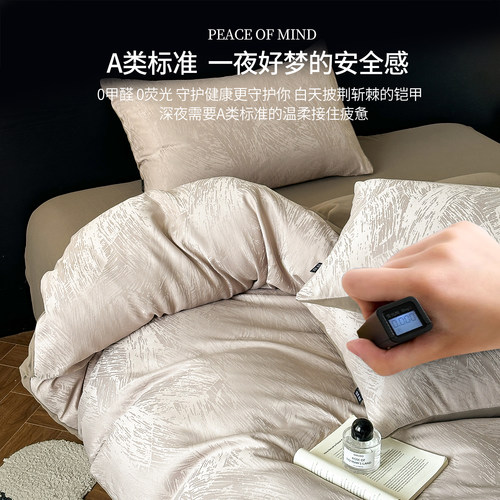 床上四件套轻奢高级感主卧室床单被套被罩磨毛2026新款床品床笠款 - 图3