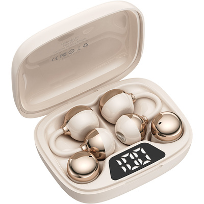 【百元内必买榜】两对不同款耳机