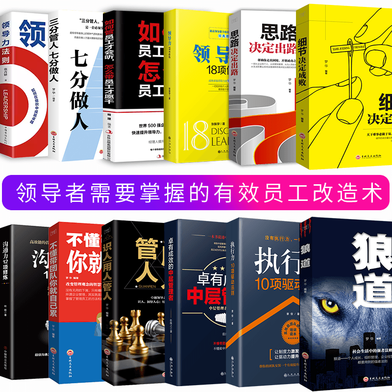 12册 企业管理书籍 不懂带团队你自己累 中层管理者 营销管理酒店餐饮物业企业管理学书籍领导力销售管理类管理方面的书籍 - 图1