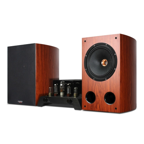 Fgoola YD-101 Hifi Pure Ble Machin