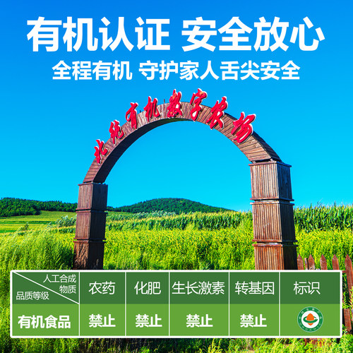北纯有机玉米碴子易煮玉米浓香低脂杂粮大米饭粗粮粥米玉米糁2斤 - 图1