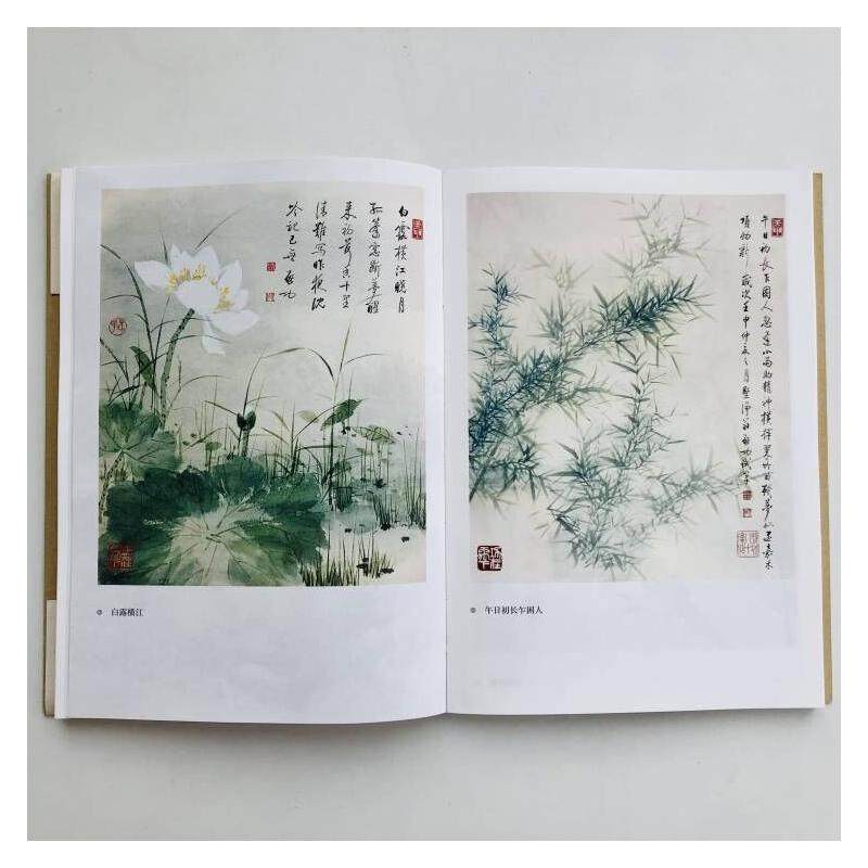 无所畏 无所忧 启功 著 宋玉成 编 中国近代随笔文学 新华书店正版图书籍 花山文艺出版社,淘宝优惠券,粉丝福利购,淘宝优惠卷