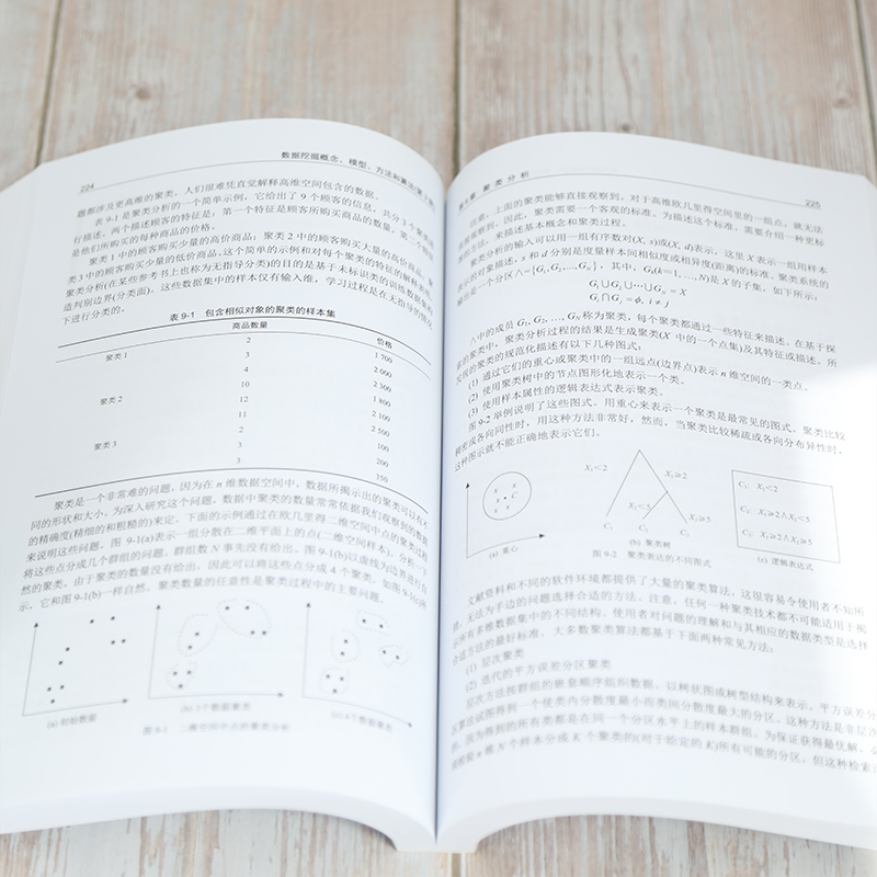 数据挖掘概念、模型、方法和算法(第3版)(美)哈默德·坎塔尔季奇著李晓峰,刘刚译数据库大中专新华书店正版图书籍-图2