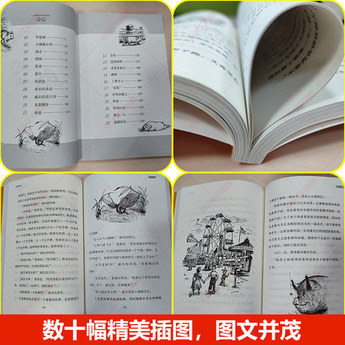 夏洛的网三年级课外书上海译文出版社阅读经典童书上海译文8-9-12岁儿童文学四五六年级畅销书籍非注音版三年级班主任夏洛特的网 - 图2