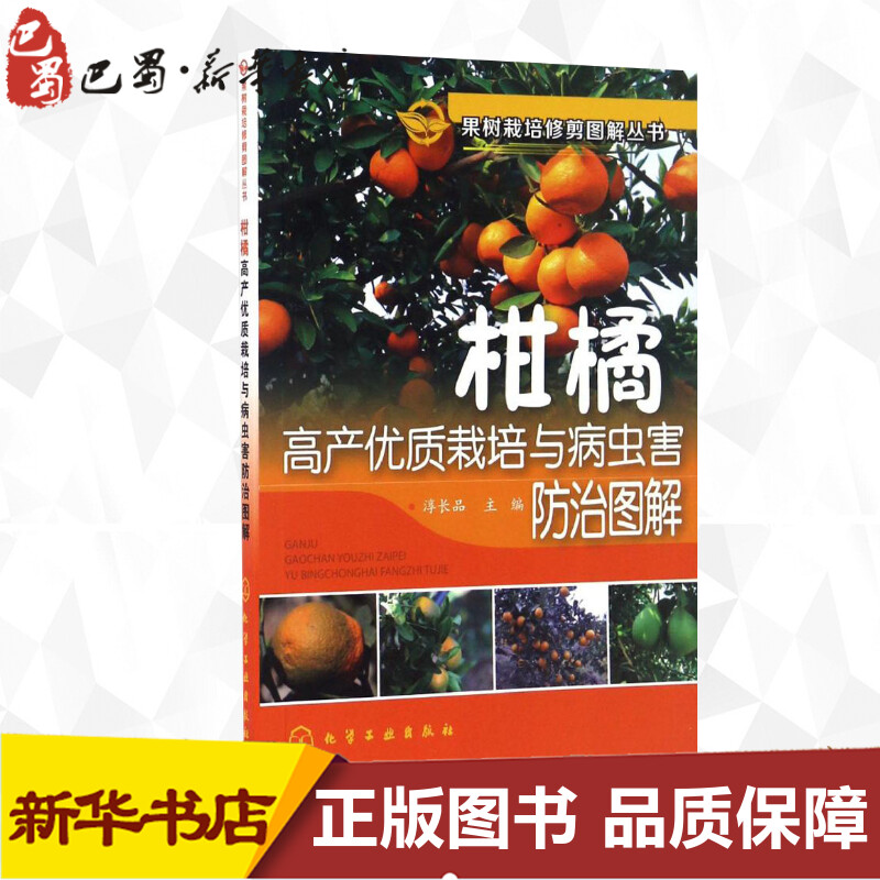 柑橘高产优质栽培与病虫害防治图解 淳长品 主编 著 农业基础科学专业科技 新华书店正版图书籍 化学工业出版社 - 图2