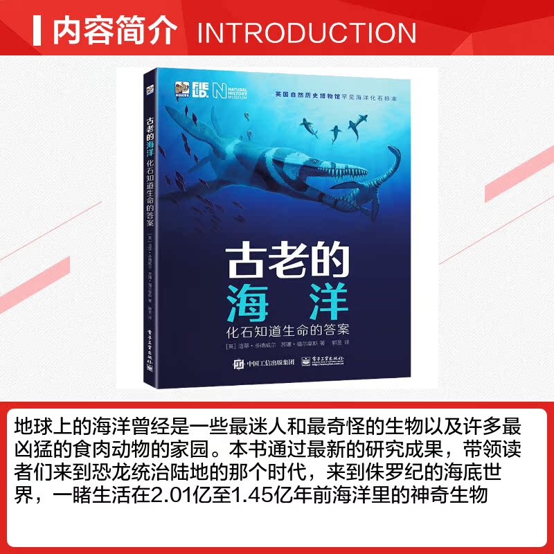 古老的海洋 化石知道生命的答案 (英)洛蒂·多德威尔,(英)苏珊·福尔摩斯 著 郭昱 译 其它儿童读物少儿 新华书店正版图书籍 - 图1