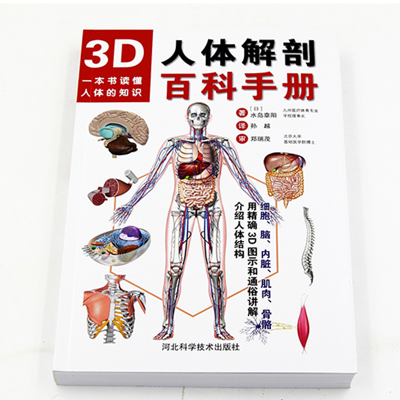 3D人体解剖百科手册 (日)水岛章阳 著;孙越 译 著 外科学生活 新华书店正版图书籍 河北科学技术出版社 - 图0