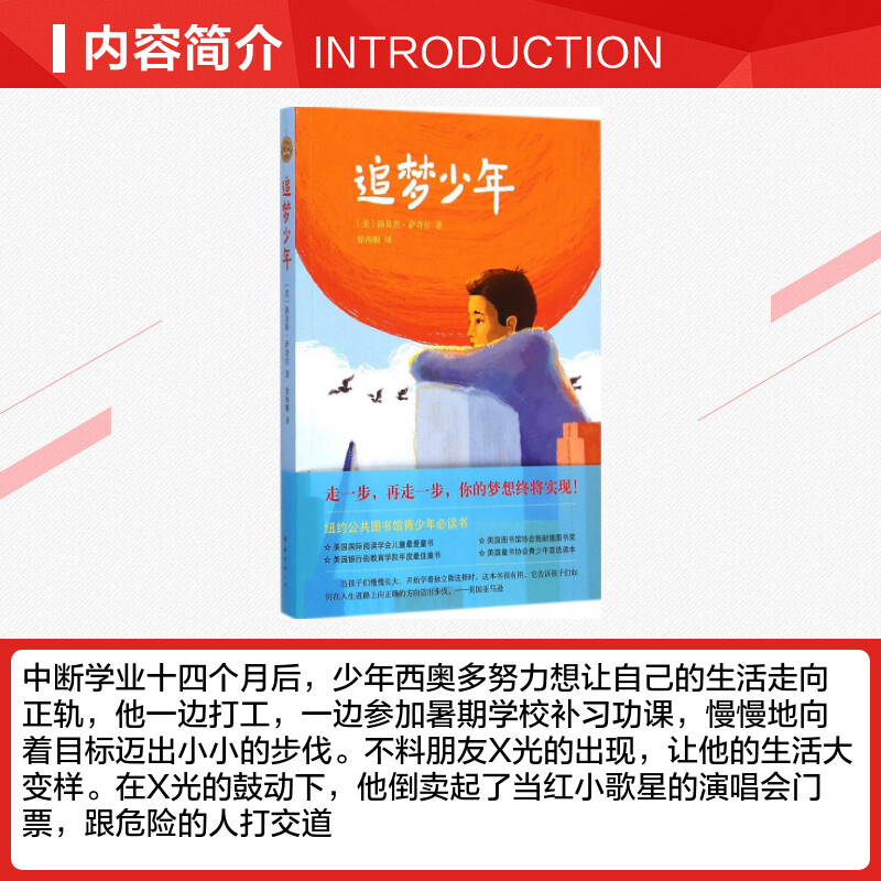 追梦少年(美)路易斯·萨奇尔(Louis Sachar)著;徐海幈译著绘本/图画书/少儿动漫书少儿新华书店正版图书籍南海出版公司-图1