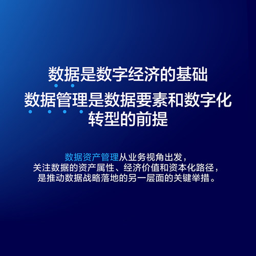 数据资产管理知识体系指南 国际数据管理协会大中华区 编著 编 经济理论经管、励志 新华书店正版图书籍 人民邮电出版社 - 图1