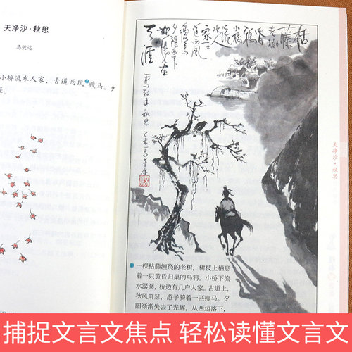 漫画学古文全套6册平装版先秦诸子秦汉魏晋唐宋元中小学生常考古文6-8-12岁小学生二三四五年级课外书天一漫画故事历史科普书漫画 - 图3