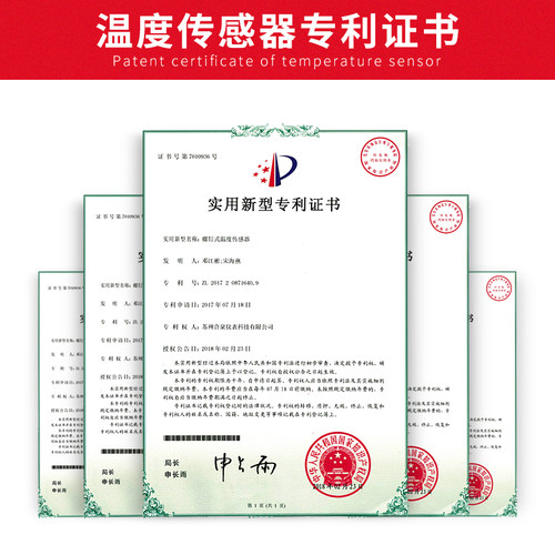 Twidec合泉pt100温度传感器探头贺利氏A级芯高精度探头式铂热电阻 - 图1