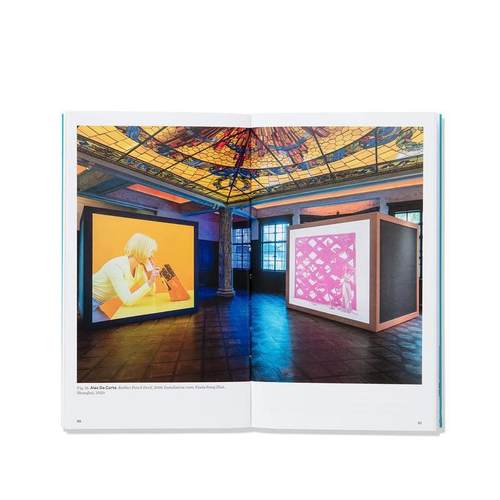 【现货】 Alex Da Corte As Long as the Sun Lasts，亚历克斯·达·科特：只要太阳还在 英文原版图书进口正版 Sheena Wagstaff - 图2