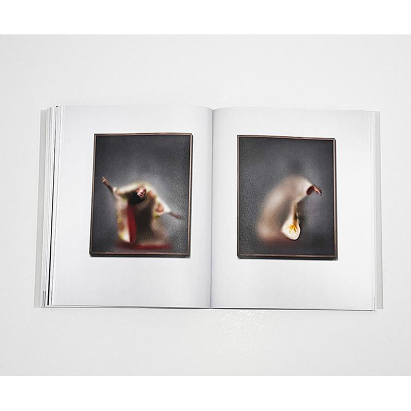 【预售】荷兰视觉艺术家Casper Faassen:摄影作品 FAASSEN 进口英文原版图书正版 Lannoo - 图1