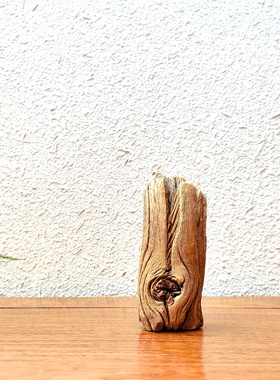 精选千年胡杨风化老木随形根艺摆件自然禅意艺术创意家居收藏饰品