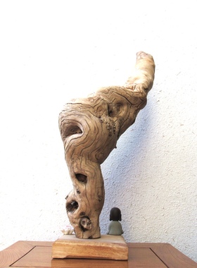 千年胡杨风化老木原木随形根艺摆件自然禅意艺术创意家居收藏饰品