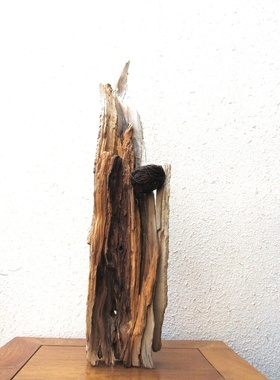 精选千年胡杨风化老木原木整体随形根艺摆件自然禅意创意搭配收藏