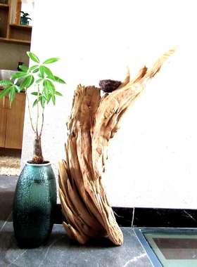 千年胡杨风化老木原木随形根艺摆件自然禅意艺术创意家居收藏饰品