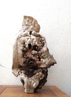 精选千年胡杨风化木随形根艺摆件自然禅意艺术微景观创意家居饰品