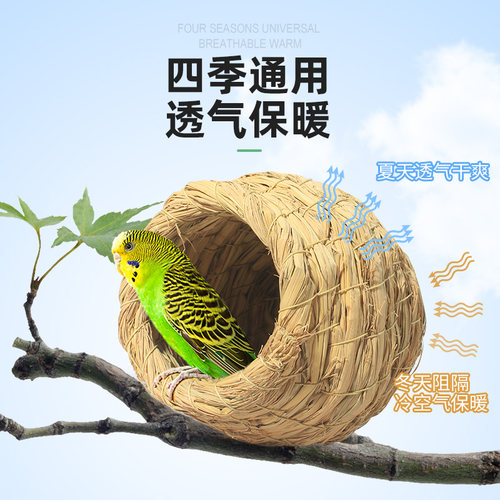 草编鸟窝玄凤牡丹鹦鹉珍珠草窝小鸟巢繁殖箱保暖用品芦丁鸡专用窝 - 图0
