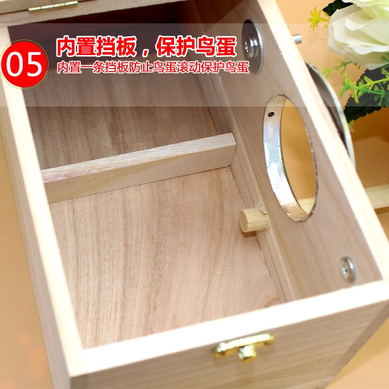 图5
