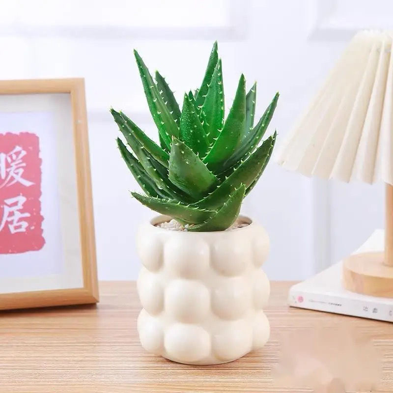 不夜城芦荟盆栽室内桌面摆放好养活耐旱绿植新手入门盆景网红多肉 - 图0