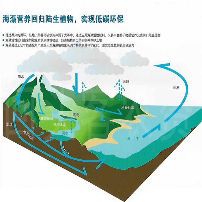 包邮进口藻源海藻精原粉低温酶解水溶性海藻酸通用增效叶面肥-图2