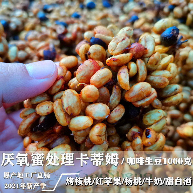 厌氧蜜处理 咖啡生豆 红蜜卡蒂姆阿拉比卡豆云南豆山高晟庄园