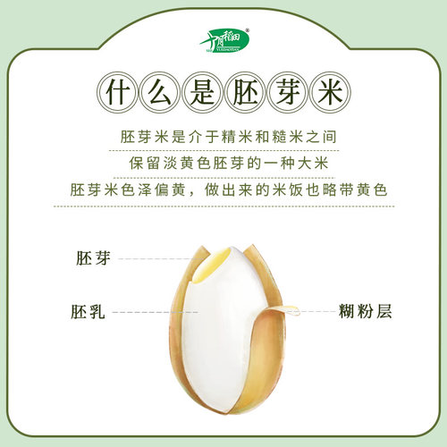 2025新米十月稻田大米胚芽米2.5kg东北香米饭真空装5斤官方旗舰店 - 图0