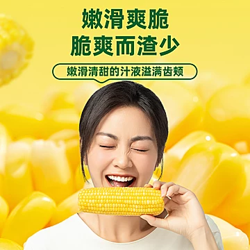 【十月稻田】水果玉米220g*8根[6元优惠券]-寻折猪