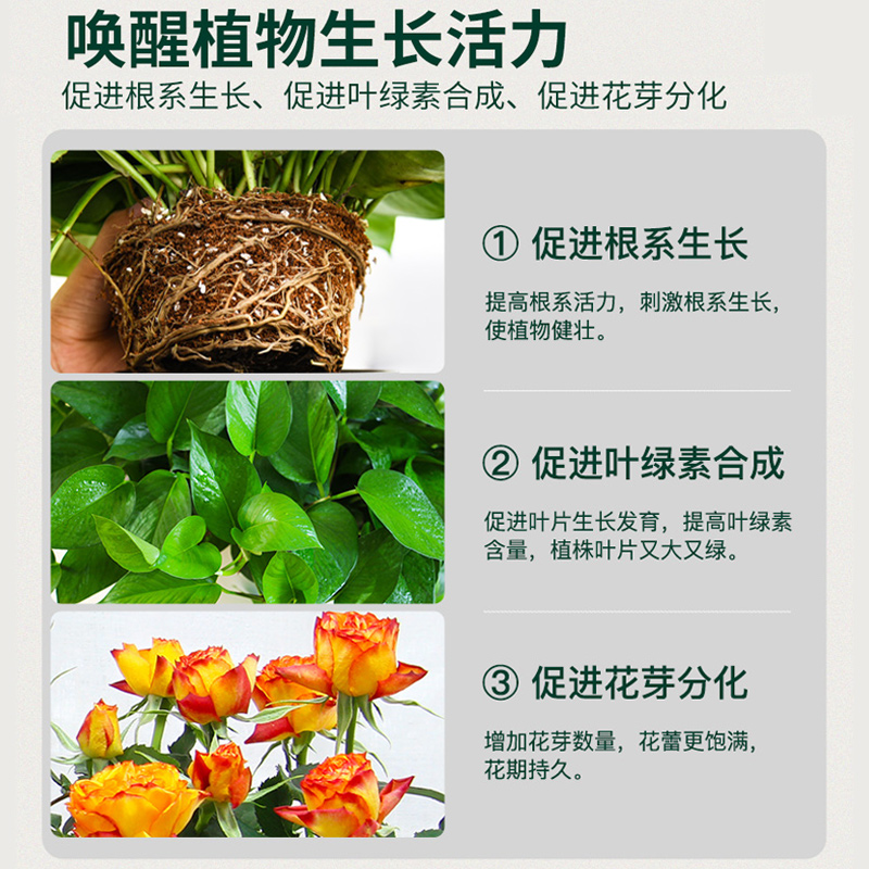 缓释肥花肥家用种菜养花通用型氮磷钾复合肥绿植多肉控释肥颗粒肥-图2