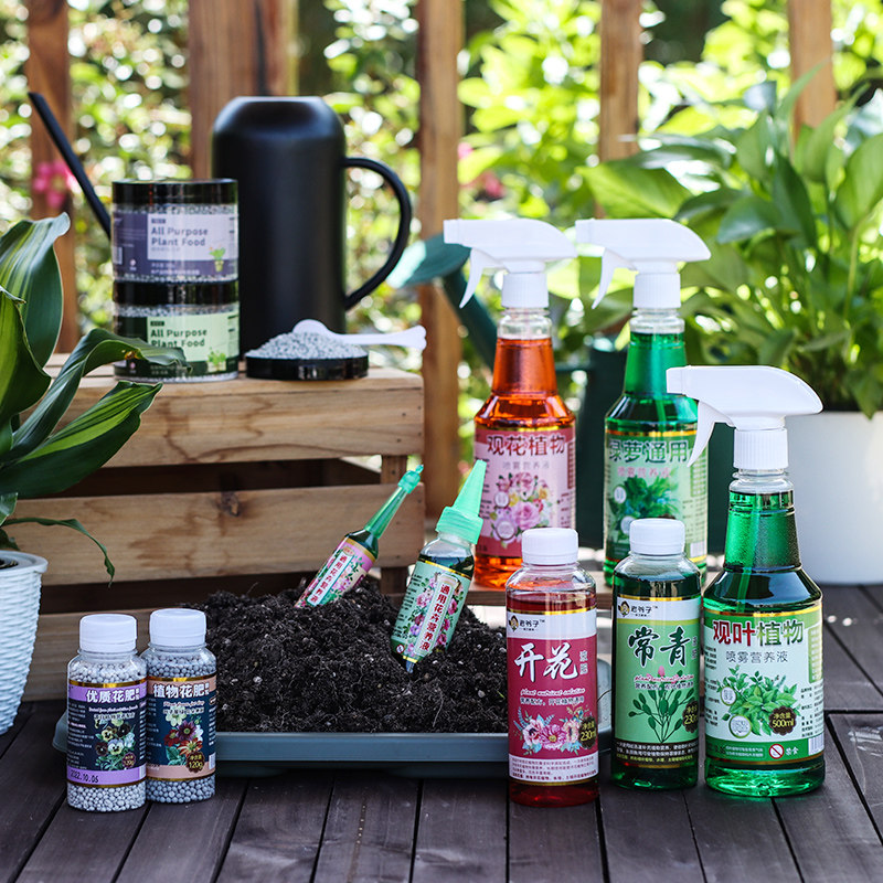 植物营养液通用型花肥发财树绿萝专用绿植花卉盆栽叶面喷施免稀释,淘宝优惠券,粉丝福利购,淘宝优惠卷