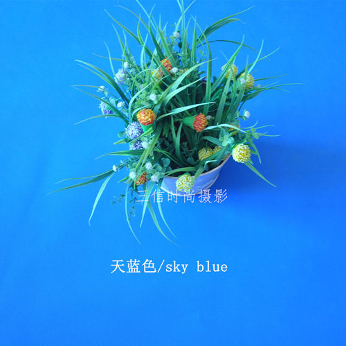 加厚纯色无纺布拍照背景布服装淘宝人像拍摄照相网红单色无纺布 - 图3