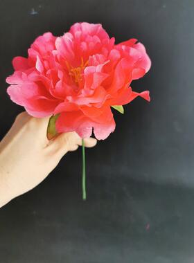 舞蹈恰好簪花引傣族缅桂花开朵朵香手拿带杆戒指红色牡丹花醉平江