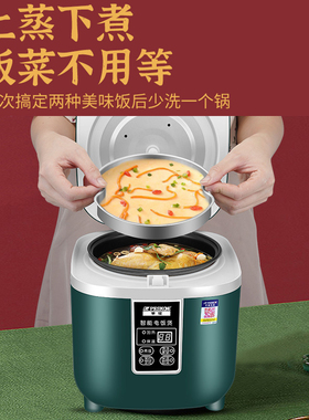 家用电饭煲半球多功能预约